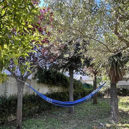 Villa Pescara Affittacamere *